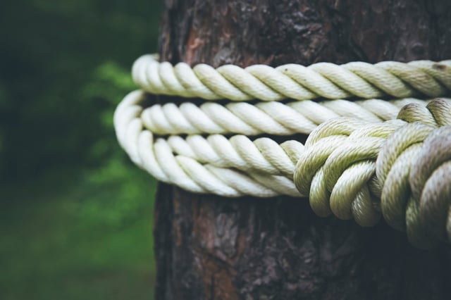 Photo of rope tied around a tree.