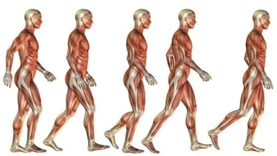 The secrets of body language are worth knowing for effective public speaking. The Visual You: Why Body Language Matters when You Speak